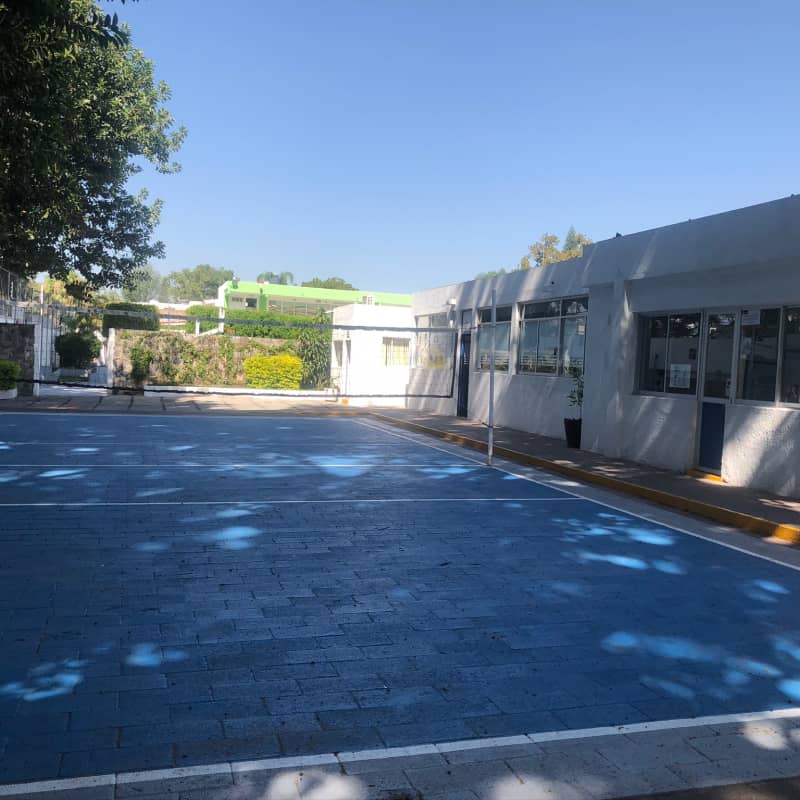 Cancha de Voleibol en patio en Colegio Interamericano.